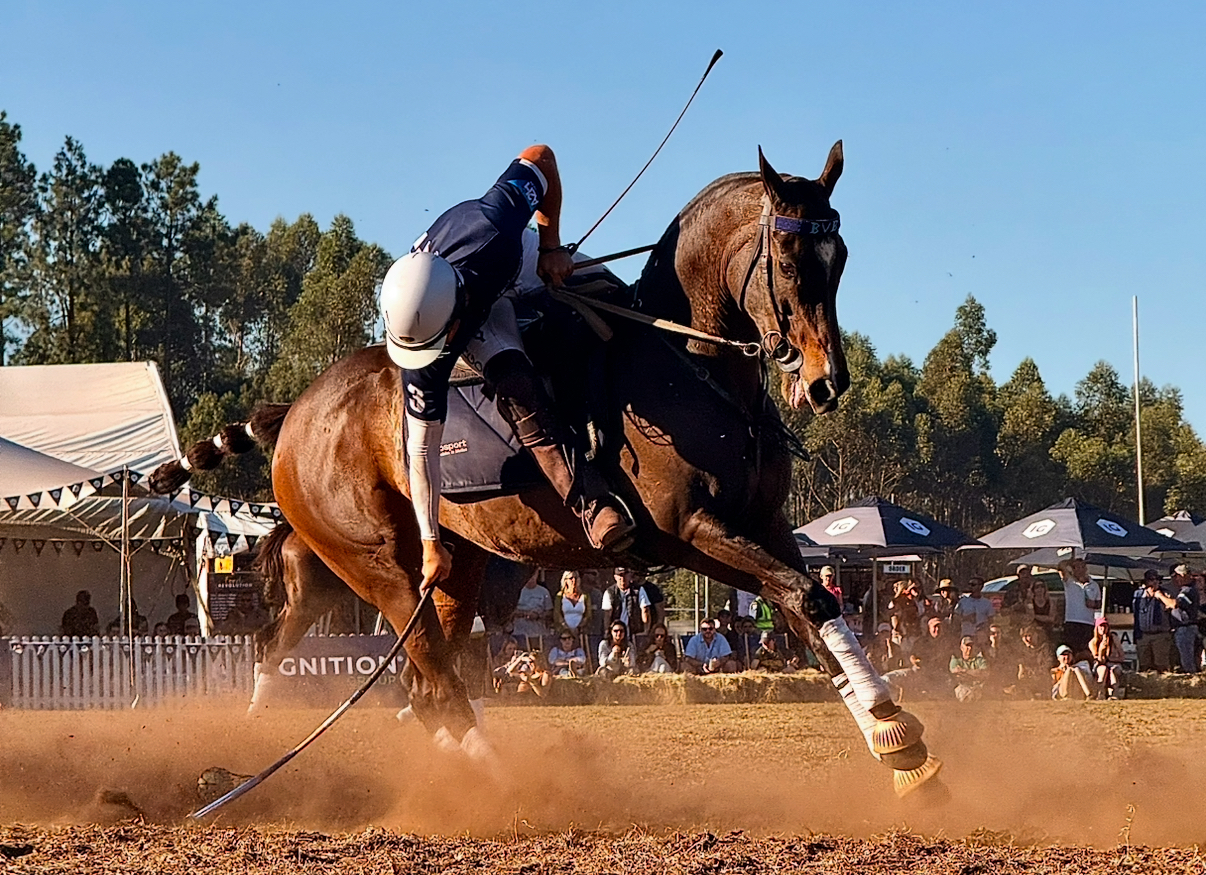 Behind the Scenes of Our Sixth Shongweni High Goal Polocrosse