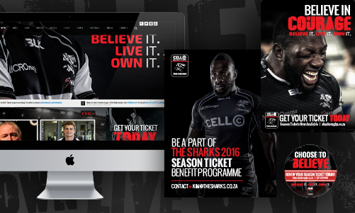 The Sharks – Celebrating a Year of Ferocious Marketing